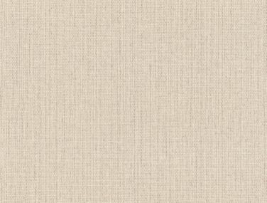 Wall Textures V 407938 600 0