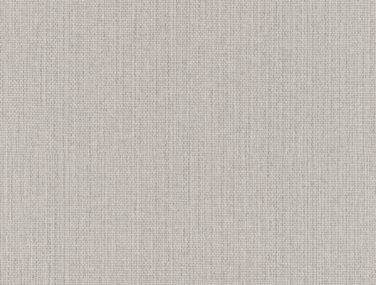 Wall Textures V 407969 600 0