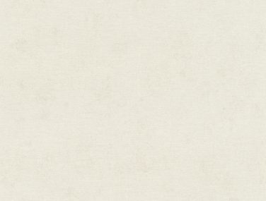 Wall Textures V 408126 530 0