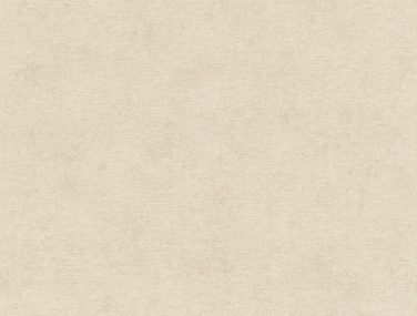 Wall Textures V 408133 530 0