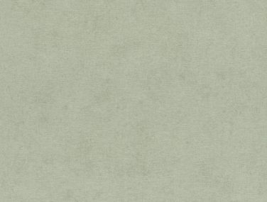 Wall Textures V 408171 530 0