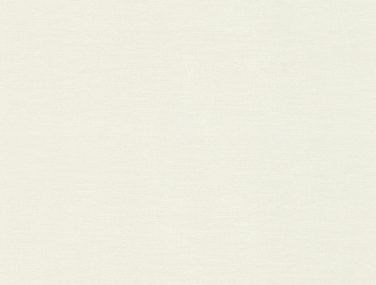 Wall Textures V 408249 530 0