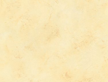 Wall Textures V 416992 600 300