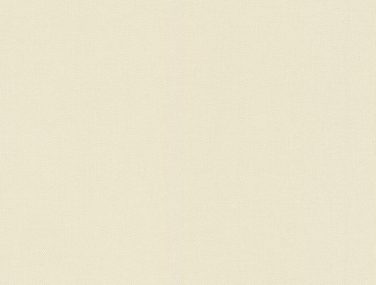 Wall Textures V 424058 530 0