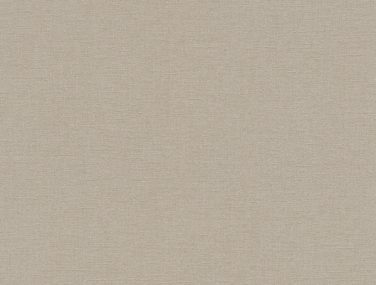 Wall Textures V 448566