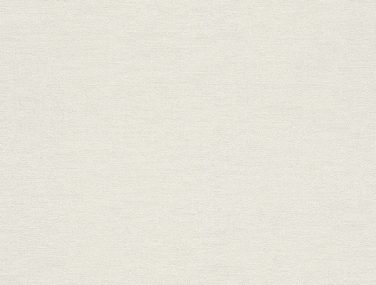 Wall Textures V 449808 530 0