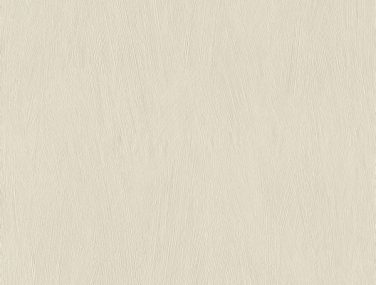 Wall Textures V 540826 600 0