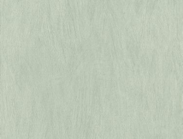 Wall Textures V 540840 600 0