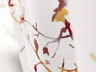 909c446e 04d8 4f51 84a6 60bcb84e095f