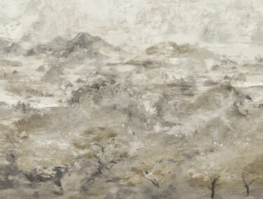 BE01502 BRUNATE MOUNTAIN SHADOW