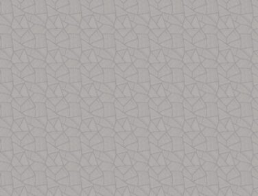 BE01536 TERRAZZO TITANIUM FOSSIL