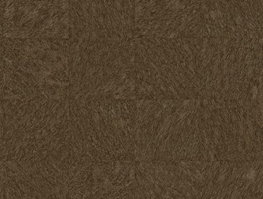 Dimensions 2971 86367