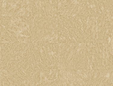 Dimensions 2971 86368