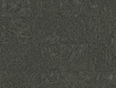 Dimensions 2971 86369