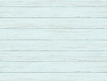 Flora and Fauna 3122 11204