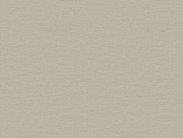 PA01606 LAZIO TAWNY NEW