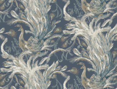 PA01614 MEDICI ADMIRAL NEW