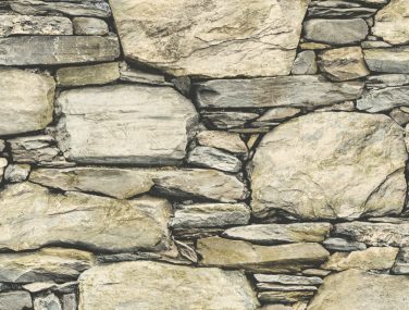 Reclaimed 2701 22317