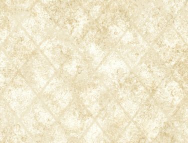 Reclaimed 2701 22327