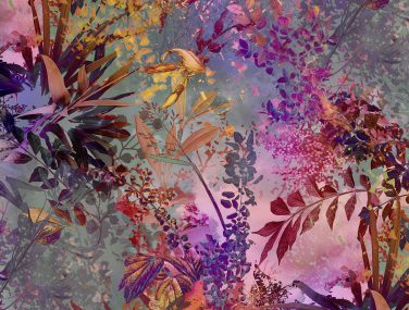 4 211 Wild Garden ma