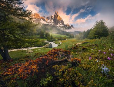 8 133 Morning Walk WEB