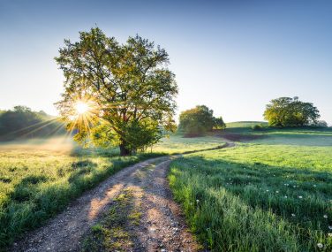 8 134 Meadow Trail WEB