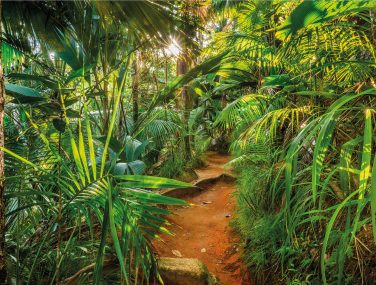 8 989 Jungle Trail ma 2