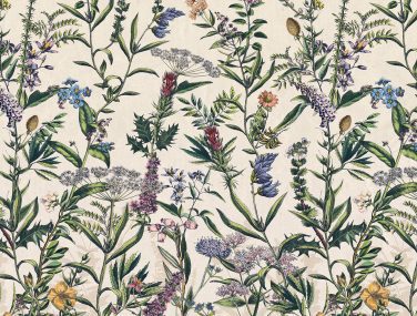 X4 1011 Flowering Herbs WEB