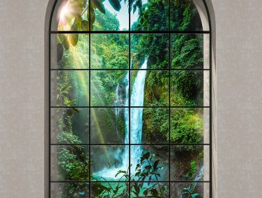 X4 1024 Rainforest WEB