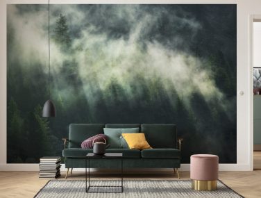 X7 1003 Misty Crowns Interieur i WEB