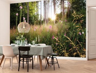 X7 1005 Summer Glade Interieur i WEB