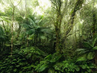 X7 1009 Mindfulness WEB