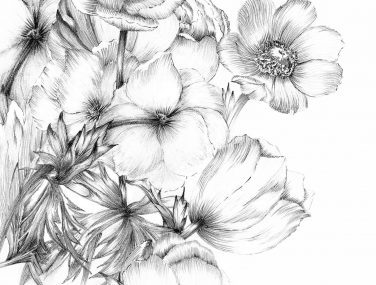 XXL2 1035 Embroidery WEB