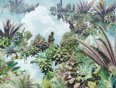 XXL4 1025 Tropical Heaven WEB