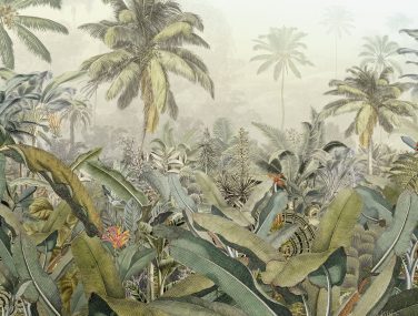 xxl4 063 amazonia ma