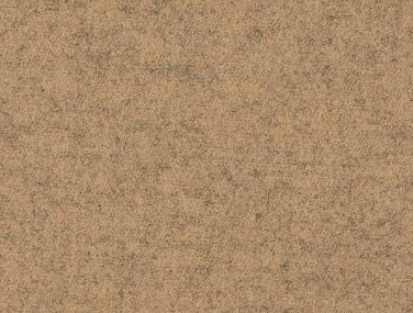 Focus Melange Screen 61439