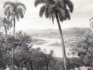 Magic Walls 290324 Apple Ready 13 11 19 klein