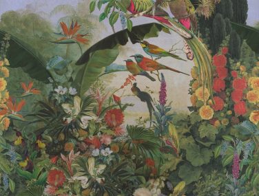 Magic Walls 561319 16566 fairy world 300x300 NEW verkleind