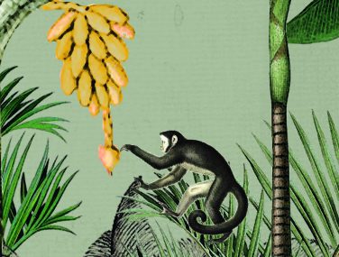 Magic Walls Detail 539196