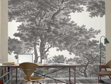 Magic Walls Raumbild606898