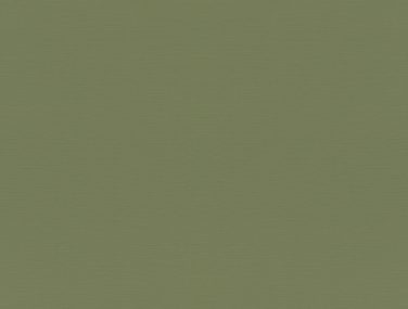 Tropical House 687538 530 0