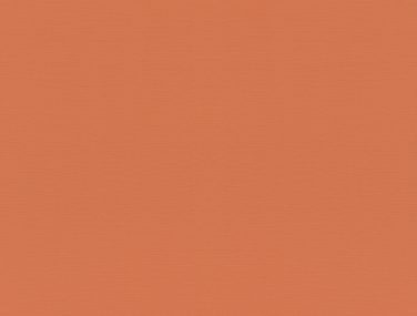 Tropical House 687569 530 0