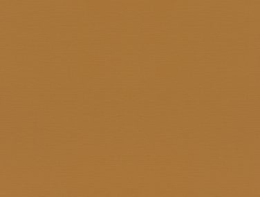 Tropical House 688054 530 0