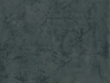 Zenith 15.1401 700x685 1