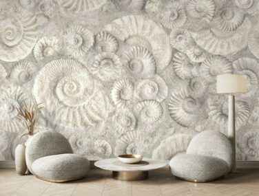 Ammonite 1 2 scaled 2