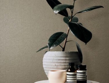 Tanner room 1 scaled 1