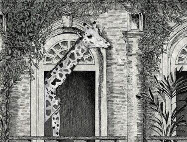 Animal Architecture Architecture Grey Tile