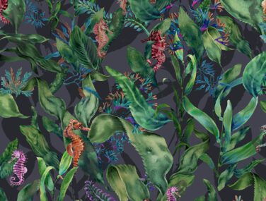 Seahorse Mangrove Noir