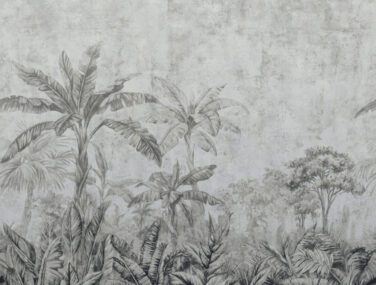 303444 6B 3180x3000 R lowRes