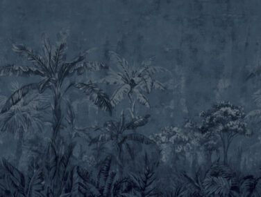 303499 5B 2650x2650 R lowRes